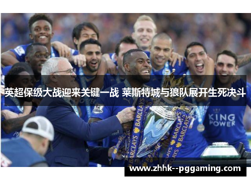 英超保级大战迎来关键一战 莱斯特城与狼队展开生死决斗